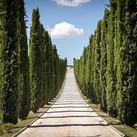 Fattoria Colsanto Farm stay Torre del Colle