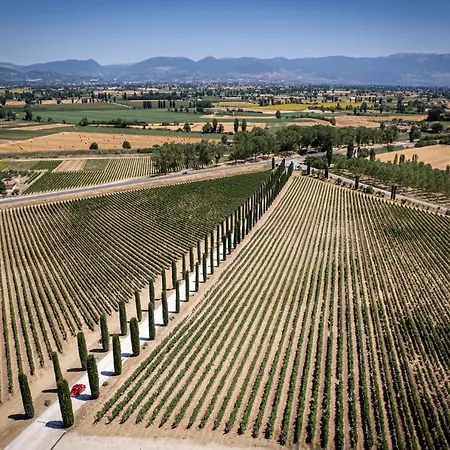 Fattoria Colsanto Farm stay *