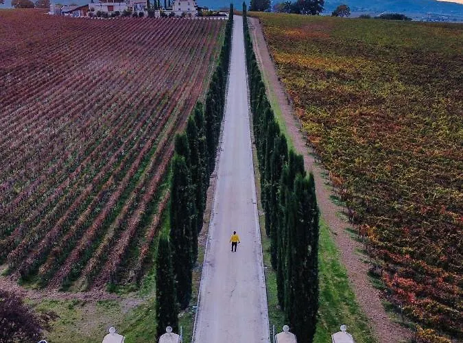 Fattoria Colsanto * Torre del Colle