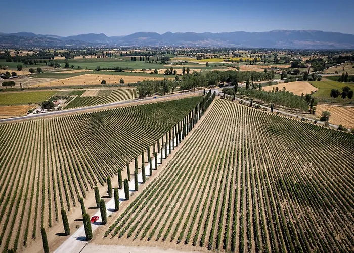 Fattoria Colsanto Alloggio per agriturismo *
