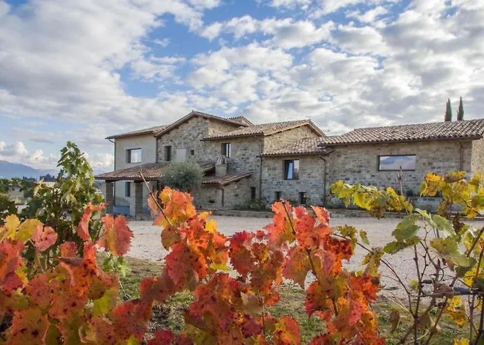 Alloggio per agriturismo Fattoria Colsanto